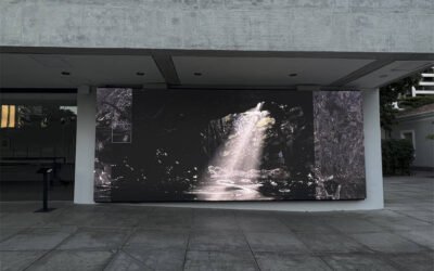 São Paulo’s newest gallery knows you must ‘burn cash to support great artists’